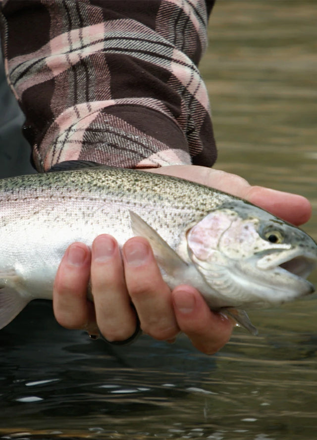 Close-up of a man in a flannel plaid shirt holding a fish