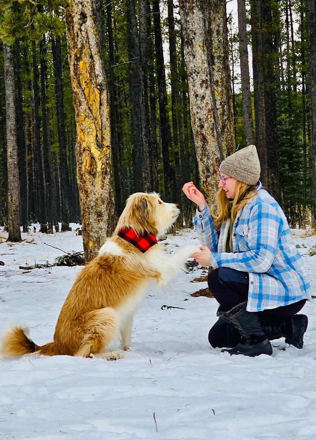 Side view of women in a blue khaki sherpa-lined flannel shirt jacket with a dog