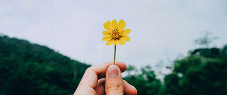 Find Happiness in the Everyday