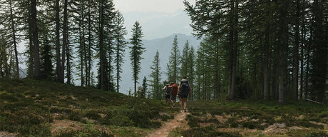 Flannel and Wilderness Adventure
