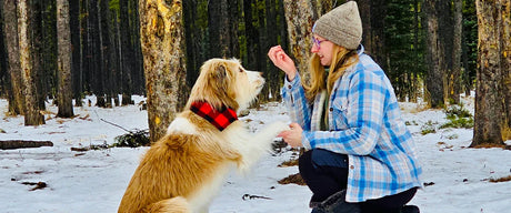 Women's Flannel Outfit Ideas