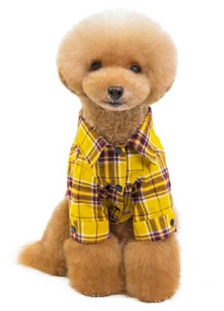 A closer look at Dog Flannel Pants