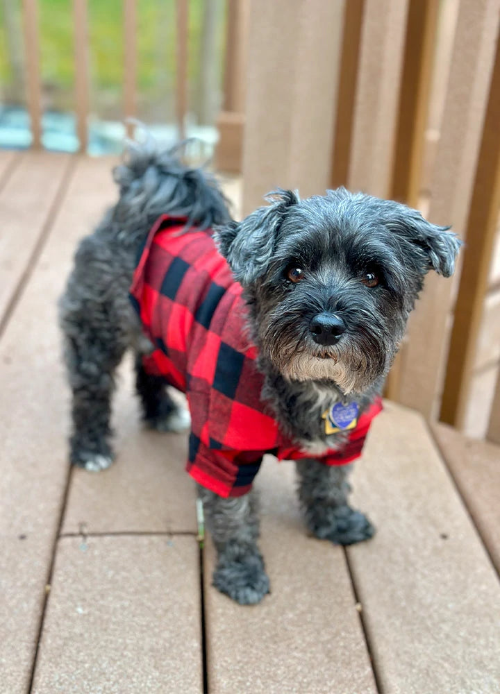 Red and black plaid dog shirt discount