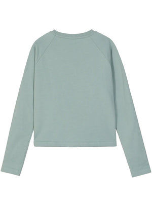 Girls Vintage Raglan Embroidered Long Sleeve Cropped T-Shirt