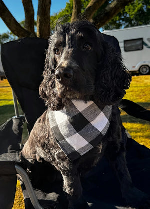 Patterned Bandana for Pets